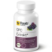 Raab Vitalfood OPC Extrakt 60 Kapseln