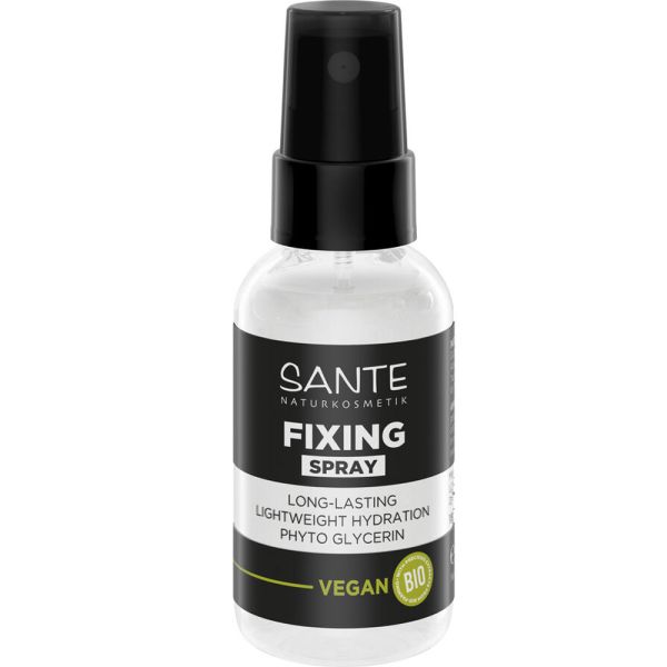 Sante Long Lasting Fixing Spray Pro Sante Long Lasting Fixing Spray Pro