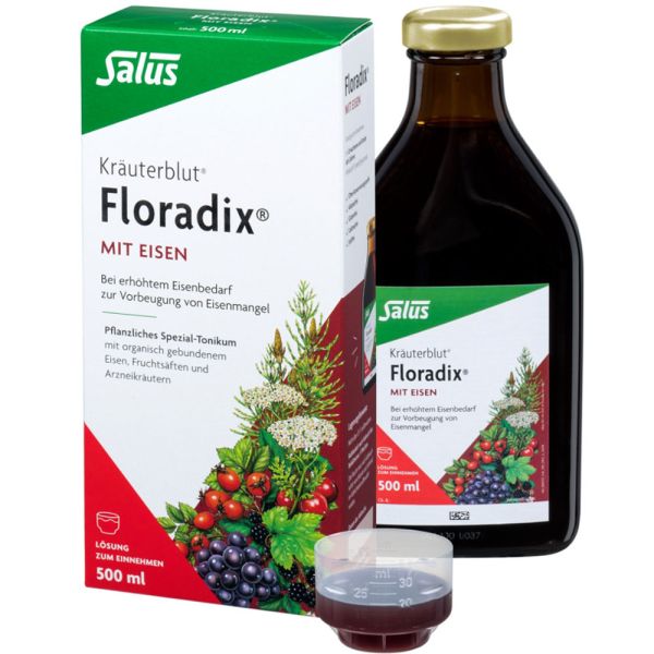 Salus Kräuterblut Floradix 500ml