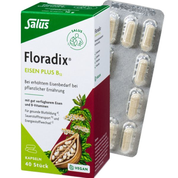 Salus Floradix Eisen plus B12 vegan Kapseln