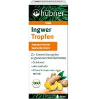 Hübner Ingwer Tropfen
