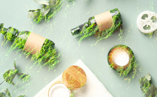 Jungbrunnen aus dem Meer – Vitalisierende Naturkosmetik aus Algen Jungbrunnen aus dem Meer – Vitalisierende Naturkosmetik aus Algen