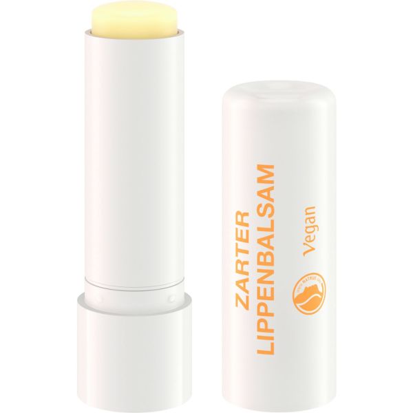 Melvita Bio Lippenbalsam – 100% Natürlichen Ursprungs, Nährend & Reparierend, 15 Ml Tube, Aus Frankreich