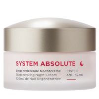 ANNEMARIE BÖRLIND SYSTEM ABSOLUTE Anti-Aging Regenerierende Nachtcreme