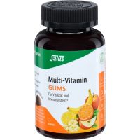 Salus Multi-Vitamin Gums