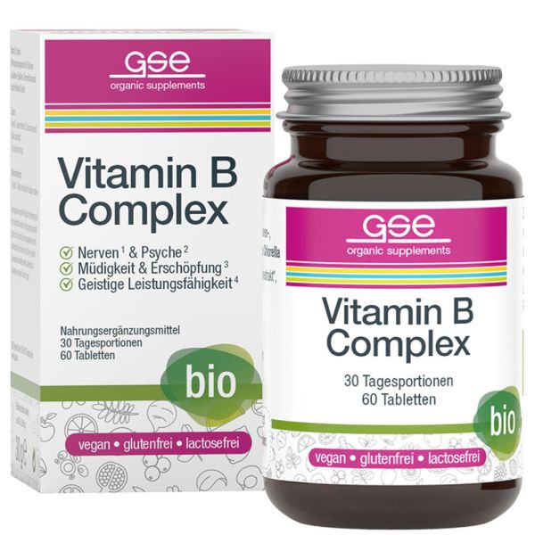 GSE Vitamin B Complex