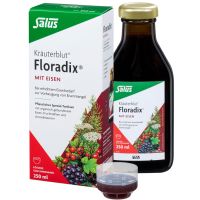 Salus Kräuterblut Floradix 250ml