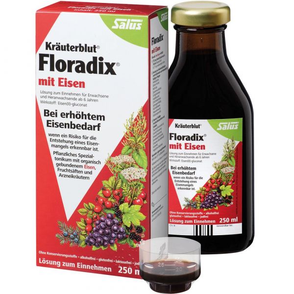 Salus Kräuterblut Floradix 250ml