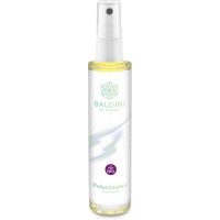 Baldini Polarzauber Raumspray