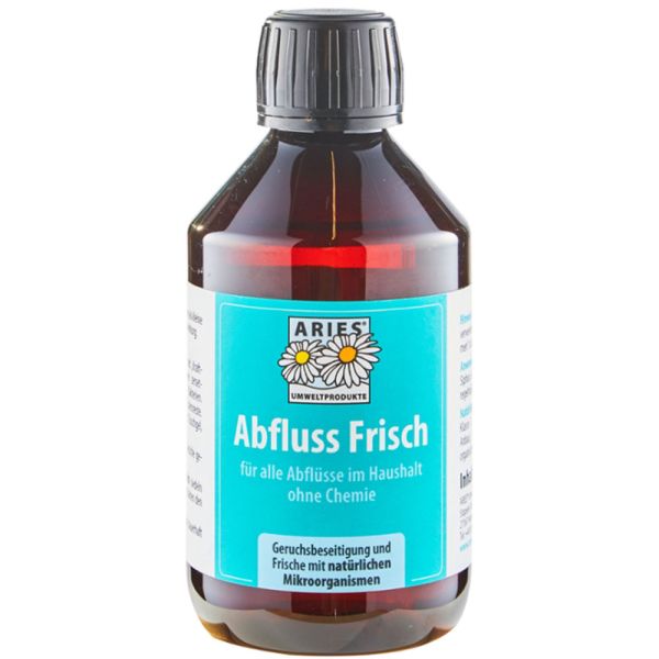 Aries Abfluss Frisch
