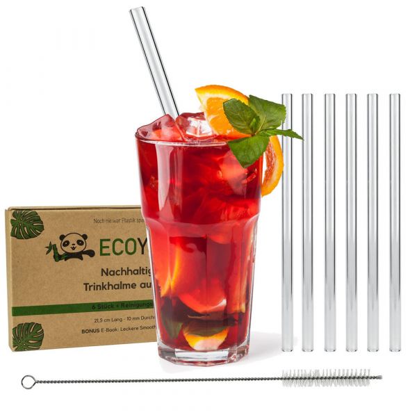 ECOYOU Glas Trinkhalme Gerade 6er Set